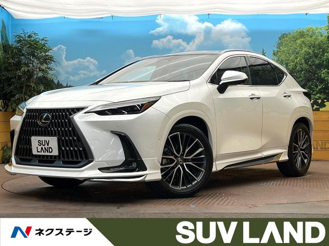 NX350h バージョンL