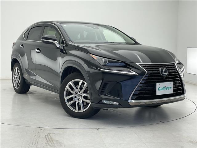 NX300h