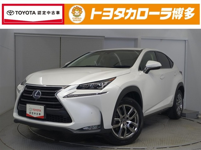 NX300h バージョンL
