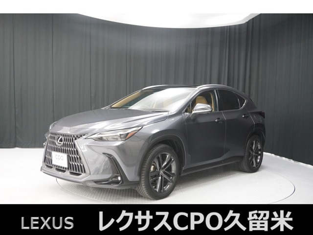NX250 バージョンL