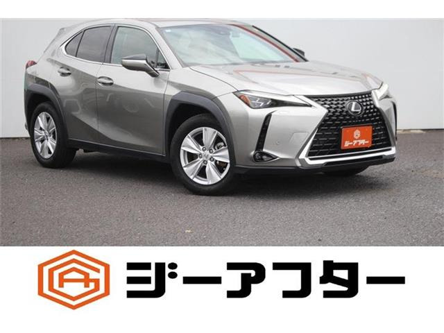 UX250h バージョンC