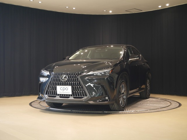 NX250 バージョンL 4WD