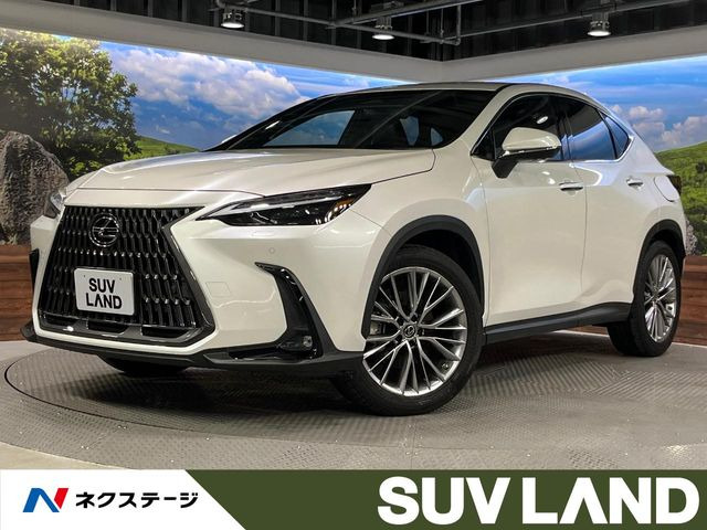 NX250 バージョンL
