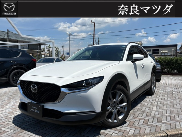 CX-302.0 20S プロアクティブ