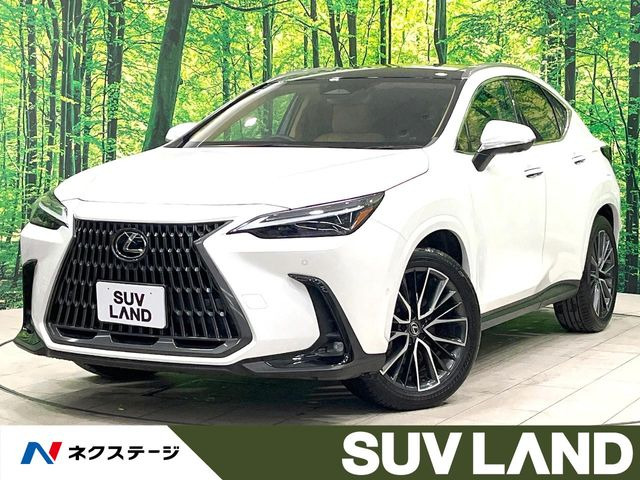 NX350h バージョンL