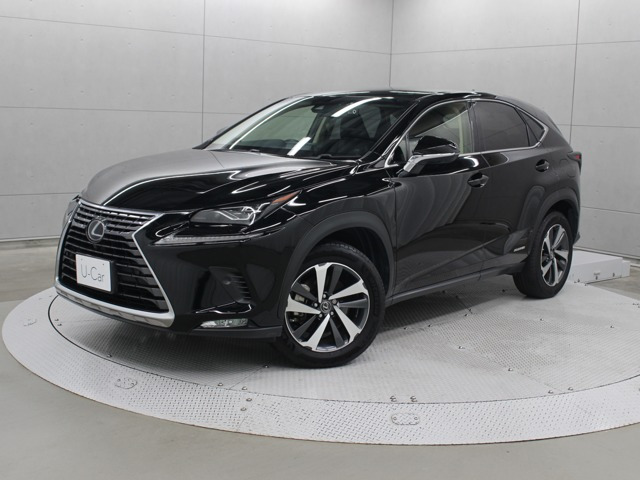 NX300h バージョンL