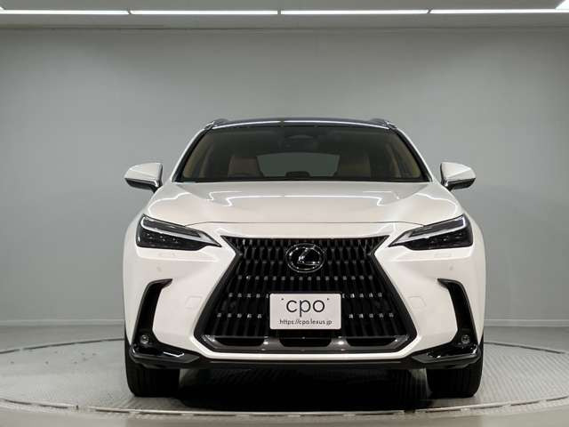 NX250 バージョンL