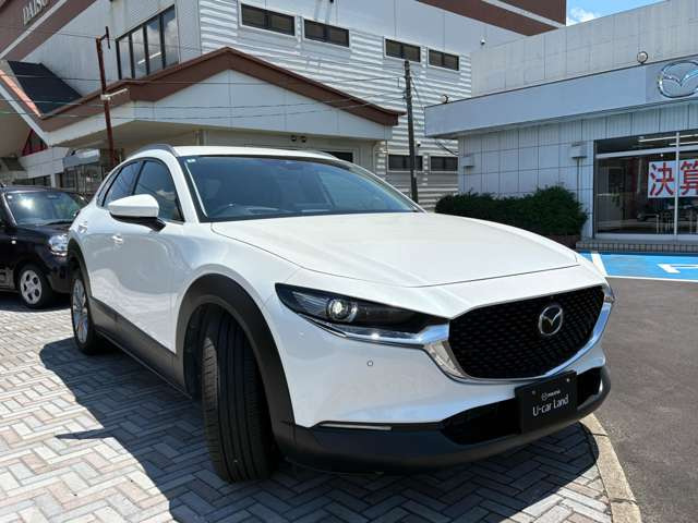 CX-302.0 20S プロアクティブ