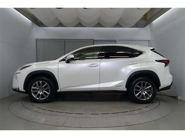 NX300h バージョンL