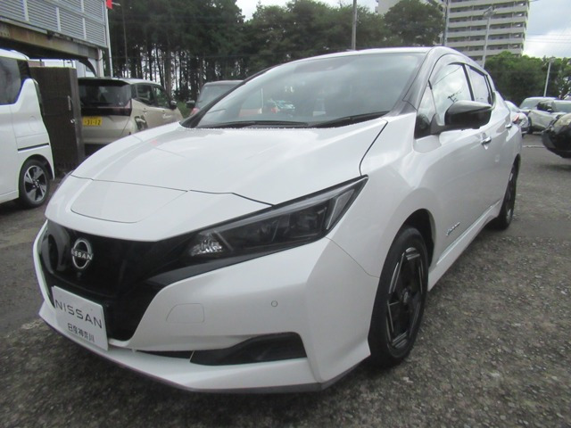 リーフe+ X