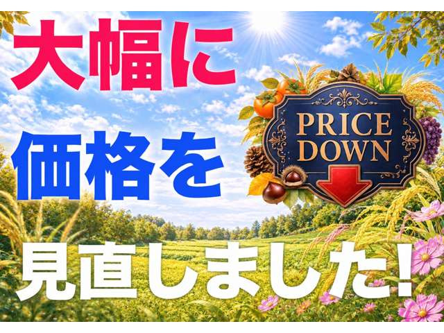 キャリイスーパーキャリイ X