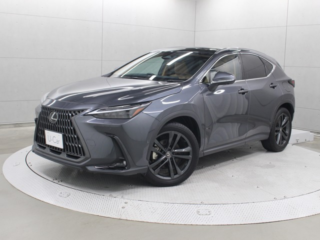 NX350h バージョンL