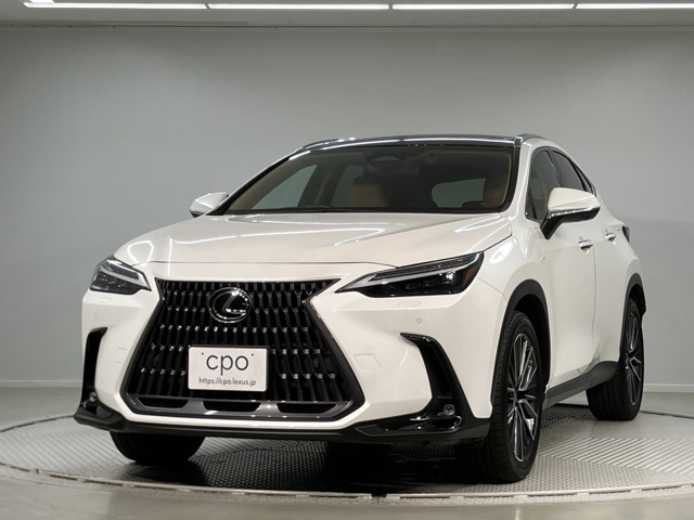NX250 バージョンL