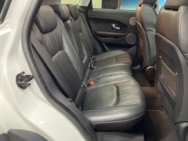 ���㕔���Ȃ��C�ɂȂ�悤�ȃL�Y�E�����ւ��蓙�A�傫�ȃ_���[�W�͂Ȃ��A�ǍD�ȏ�Ԃł��B
