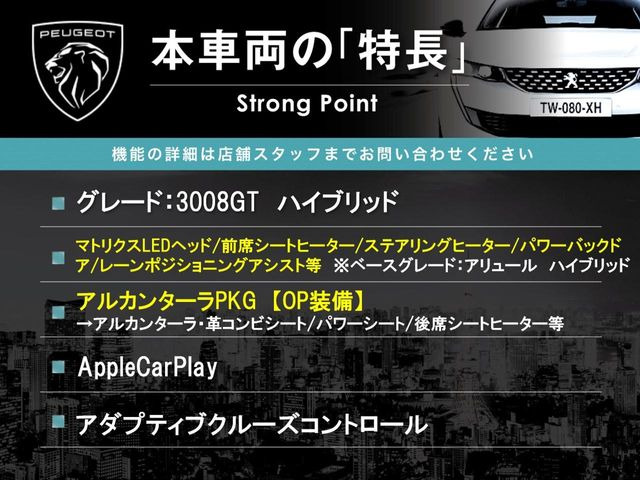 3008GT ハイブリッド アルカンタラパッケージ