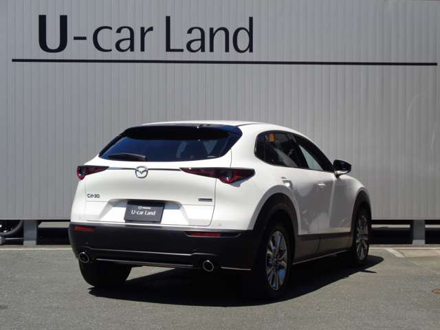 CX-302.0 20S プロアクティブ