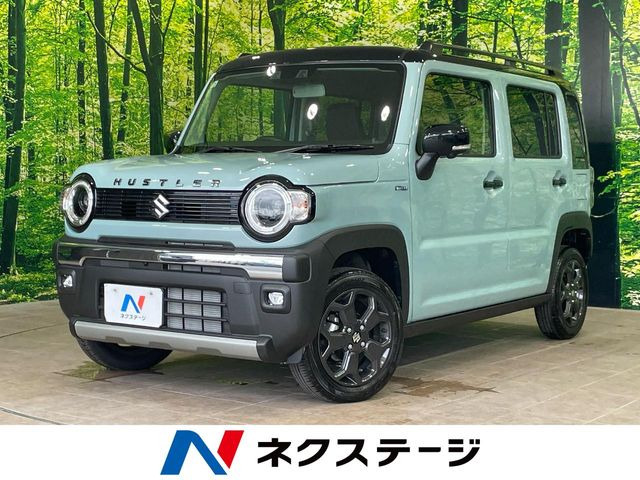 ハスラータフワイルド