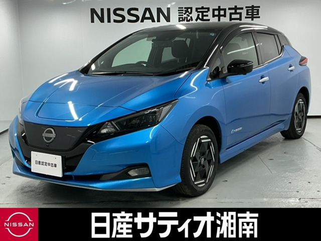 リーフe+ X