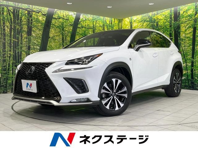 NX300 Fスポーツ