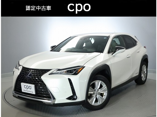 UX250h バージョンC