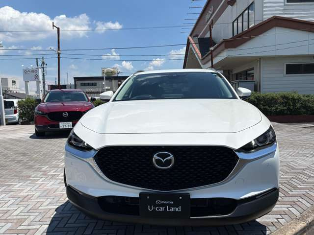CX-302.0 20S プロアクティブ