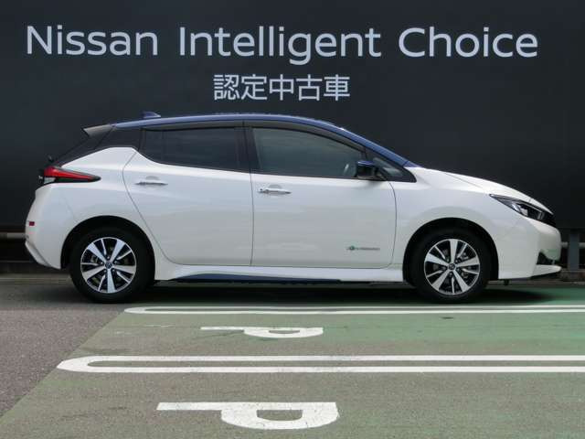 リーフe+ X