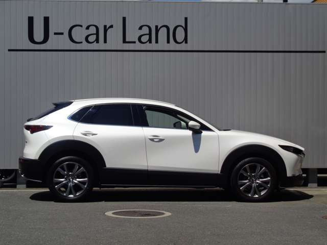 CX-302.0 20S プロアクティブ