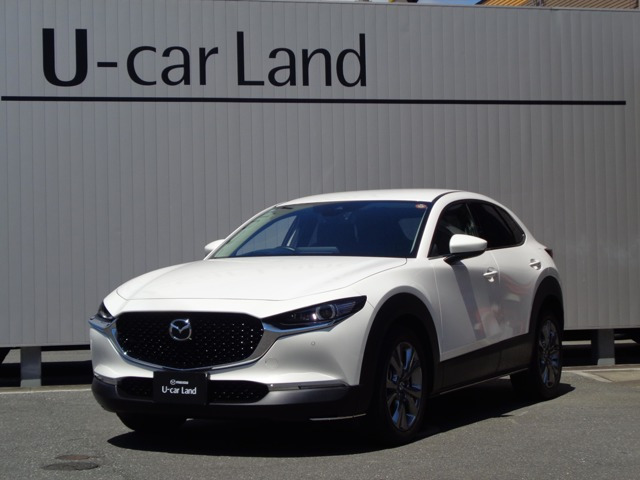 CX-302.0 20S プロアクティブ
