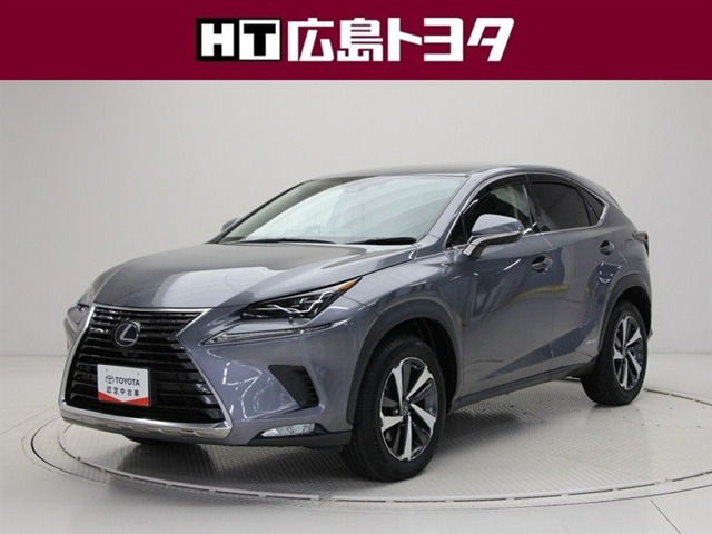 NX300h バージョンL