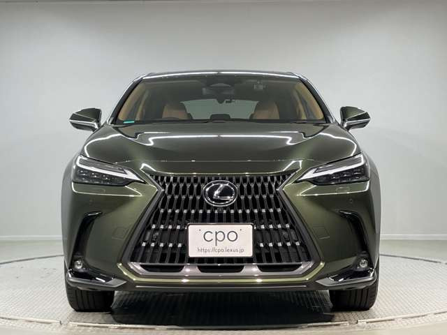 NX450hプラス バージョンL 4WD