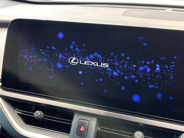 UX250h Fスポーツ