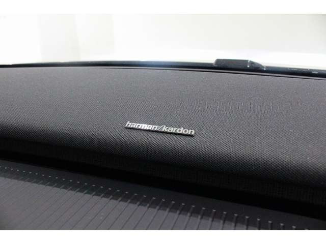EX30ウルトラ シングルモーター エクステンデッド レンジ