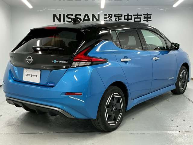 リーフe+ X
