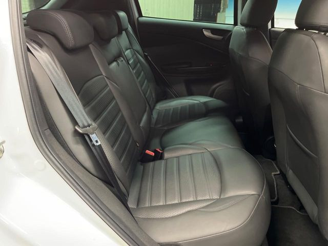 ���㕔���Ȃ��C�ɂȂ�悤�ȃL�Y�E�����ւ��蓙�A�傫�ȃ_���[�W�͂Ȃ��A�ǍD�ȏ�Ԃł��B