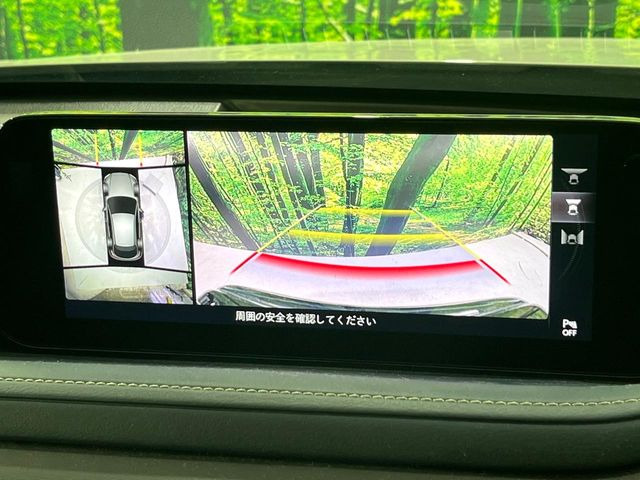 CX-302.0 20S プロアクティブ