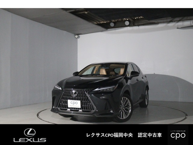 NX250 バージョンL