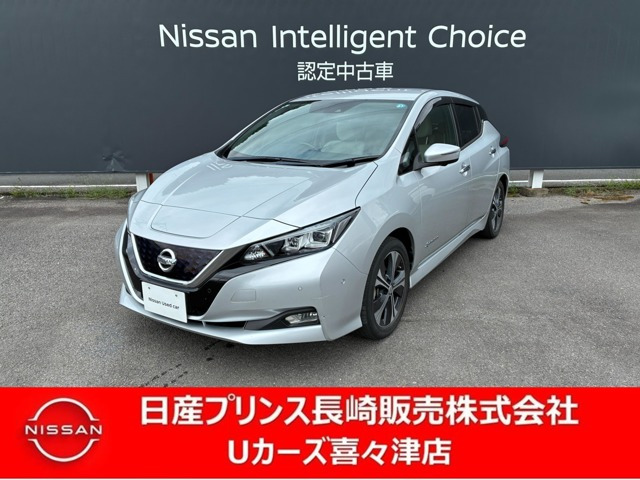 リーフG