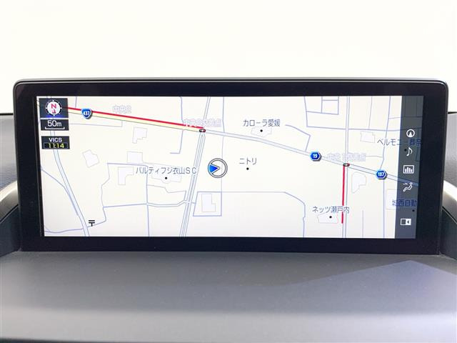 NX300h Fスポーツ