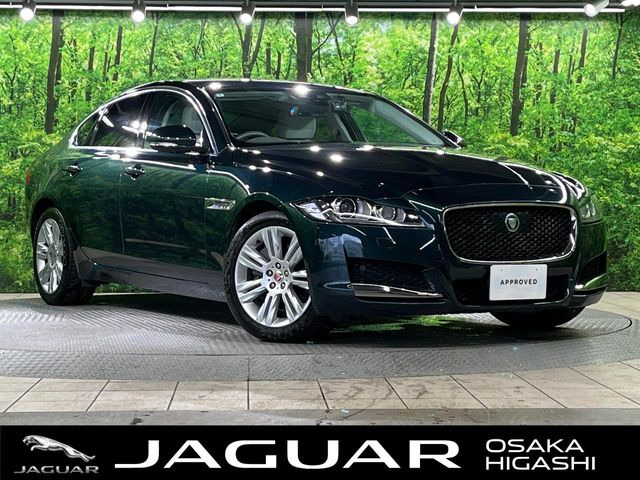 XF