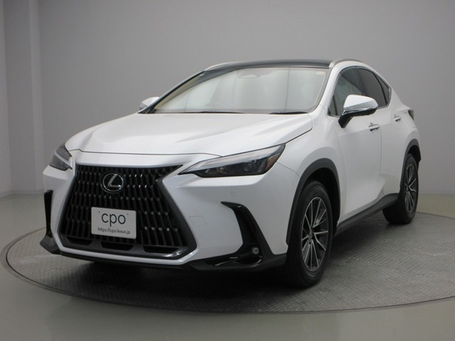 NX