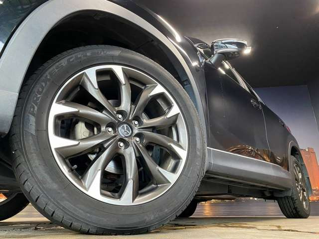 ����19�C���`�A���~�z�C�[��!�A���~�̃R�[�e�B���O��������܂�!���ꂪ���ȃA���~�z�C�[�������S�ł�!!