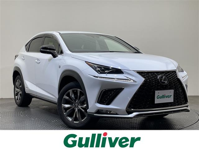 NX300h Fスポーツ