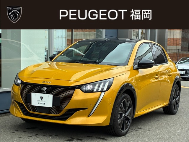e-208GT