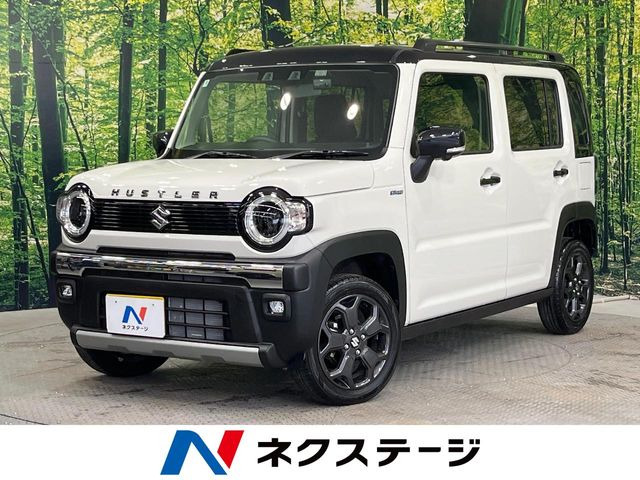 ハスラータフワイルド