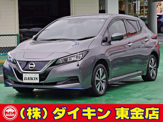 リーフe+ X