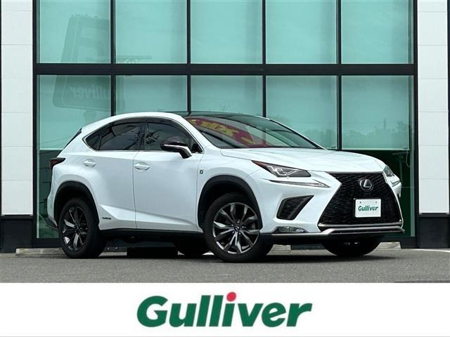 NX300h Fスポーツ