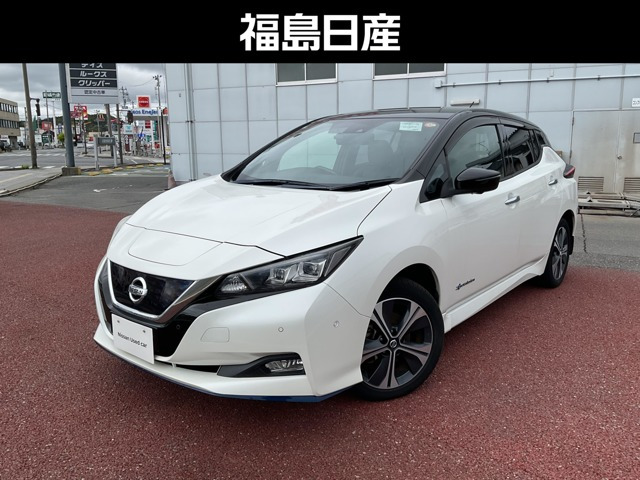 リーフe+ G