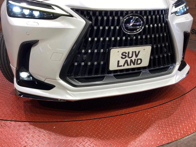 NX350h バージョンL