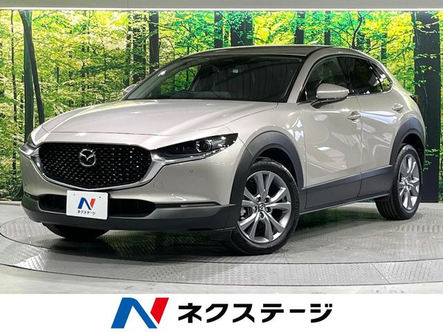 CX-302.0 20S プロアクティブ
