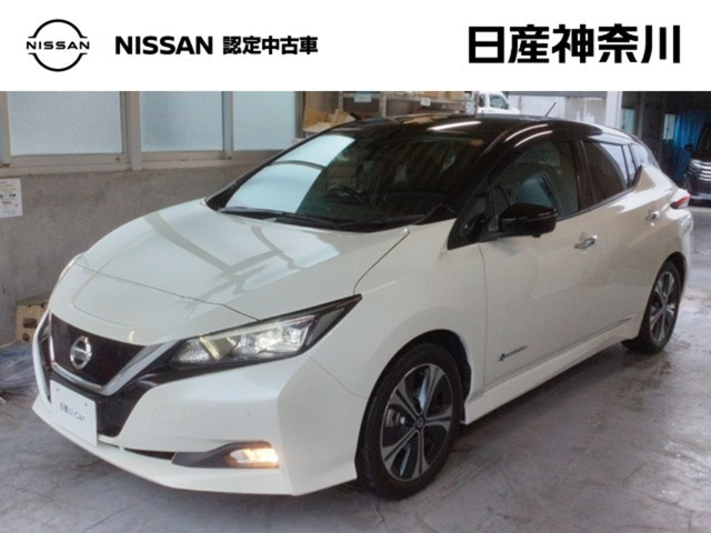 リーフ